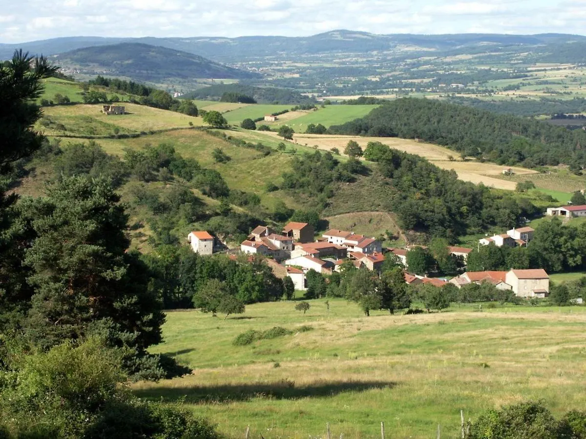 Maison Pittoresque Avec Terrasse Et Bbq, Calme Pres De Langeac - Fr-1-582-124 Holiday home