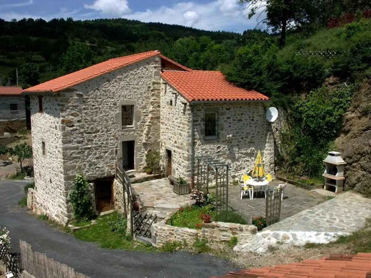 Maison Pittoresque Avec Terrasse Et Bbq, Calme Pres De Langeac - Fr-1-582-124